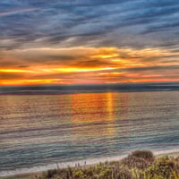 Image 5 of Seacliff - Beachwood/Moss Soy Wax Candle