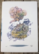 Image 1 of BalloonBird 38, 39, 40, 41, 42