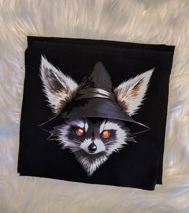 RACOON WARLOCK PATCH 