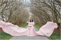 Image 9 of 2026 SPRING MINI SESSIONS!! 