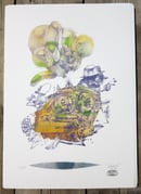 Image 1 of BalloonBird 43, 44, 45, 46, 47