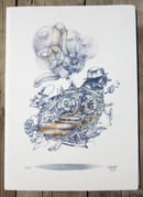 Image 4 of BalloonBird 43, 44, 45, 46, 47