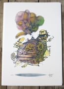 Image 5 of BalloonBird 43, 44, 45, 46, 47