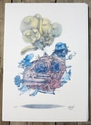 Image 2 of BalloonBird 48, 49, 50