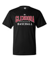 GALL Baseball  Drifit T-Shirt