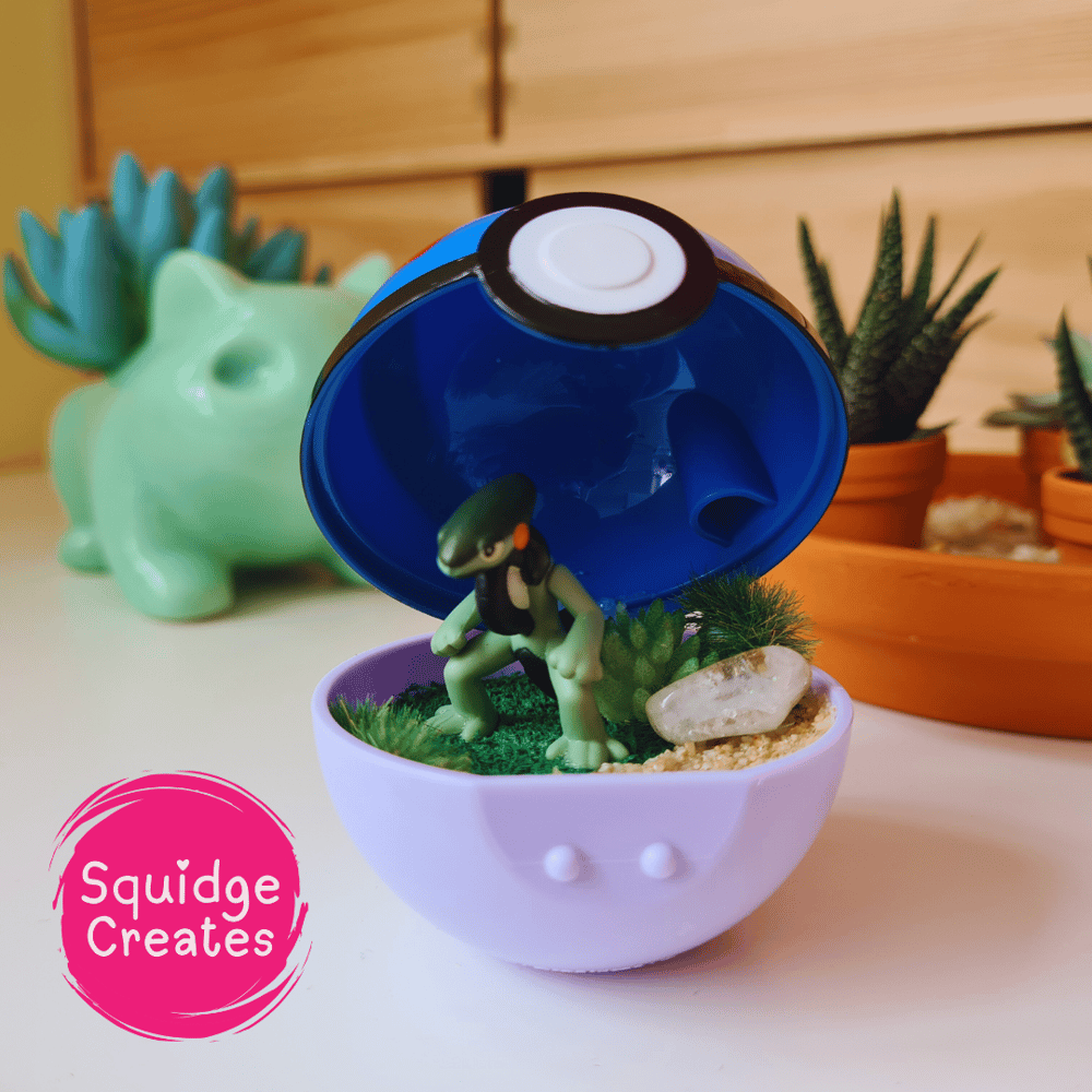 Image of Micro Ball Terrarium
