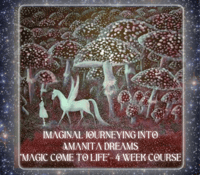 Image 1 of Imaginal Jounerying Into Amanita Dreams