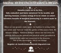 Image 3 of Imaginal Jounerying Into Amanita Dreams