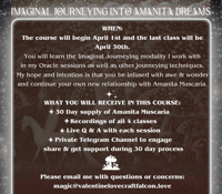 Image 4 of Imaginal Jounerying Into Amanita Dreams