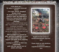 Image 5 of Imaginal Jounerying Into Amanita Dreams