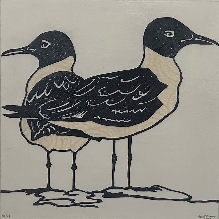 Laughing Gulls Image 3