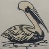 Brown Pelican