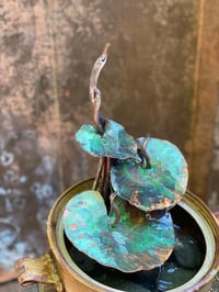 Image 3 of 🍃baby leaves 🍃
