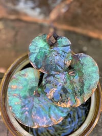 Image 4 of 🍃baby leaves 🍃