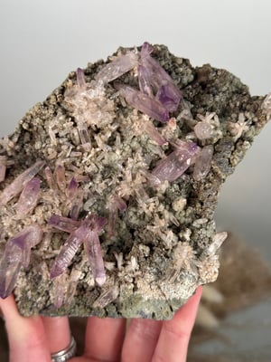 SELF STANDING VERA CRUZ AMETHYST