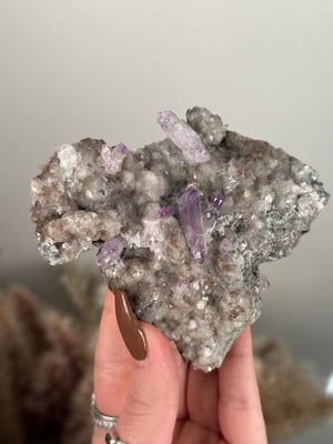 VERA CRUZ AMETHYST H