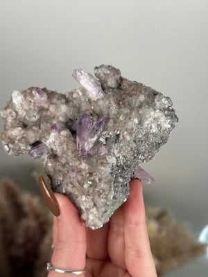 VERA CRUZ AMETHYST H