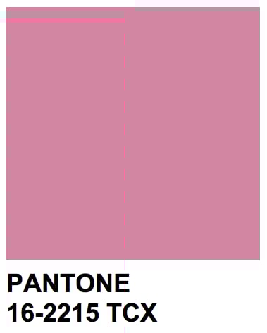 Vintage Rose Sheer Ruffled "Selene"   Image 3