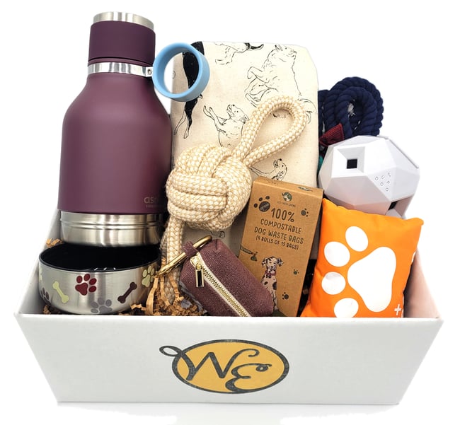 To the Dog Park We Go!