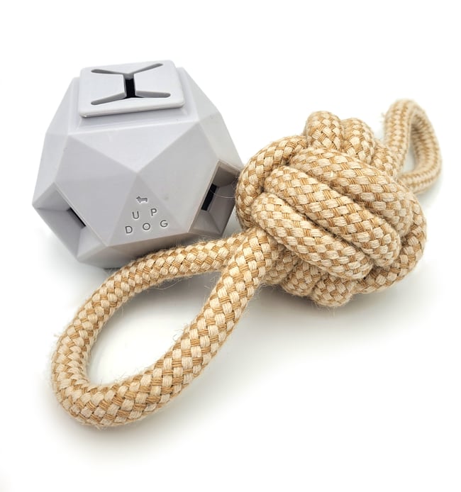 To the Dog Park We Go!