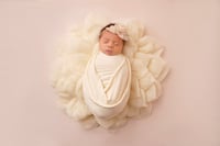 Image 1 of Milestones Packages