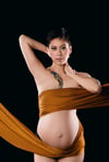Maternity Session $145 (discounted to $99)