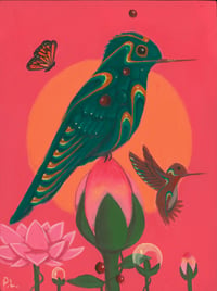 Hummingbird 10