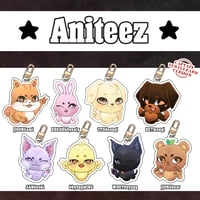 Image 1 of  Aniteez Keychain