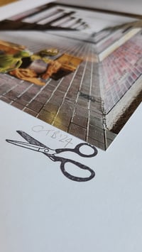 Image 2 of 'Squatters Rights'