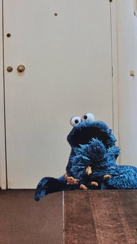 Image 2 of 'Eating The Feelings'