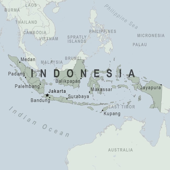 "FEED THE BEASTS" INDONESIAN DARK ROAST #TNR 12 OZ.