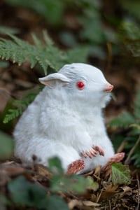 Image 1 of Gamusino Artdoll (albino variant)