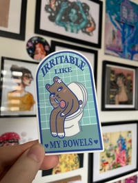 Image 1 of Clear back sticker - “Irritable like my bowels”