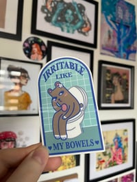 Image 3 of Clear back sticker - “Irritable like my bowels”