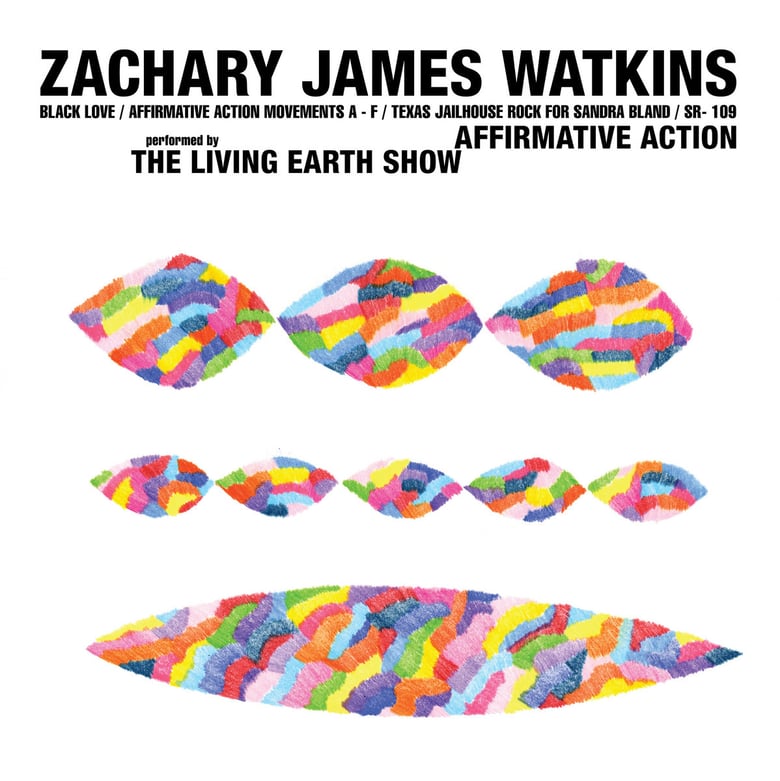 Image of  Affirmative Action by ZACHARY JAMES WATKINS LP