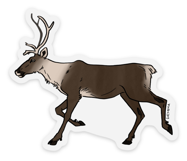 Vinyl Sticker // Alaska Wildlife - Caribou