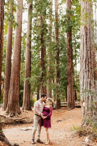 Image 1 of Spring Mini Session - Redwood Grove