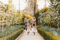 Image 2 of Spring Mini Session - Botanical Garden