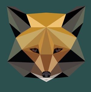 Image of ELISABET FOX | PRINT ON CANVAS