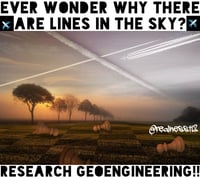 Image 2 of Ever Wonder Why There Are Lines In The Sky? Research Geoengineering!!