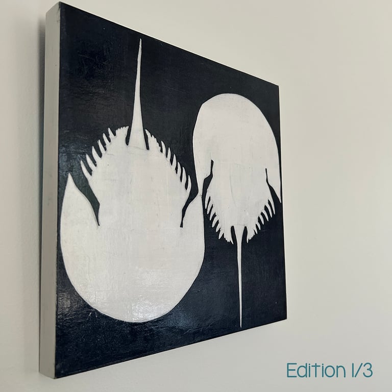 Atlantic Horseshoe Crab Image 2