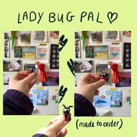 Lady bug pal 
