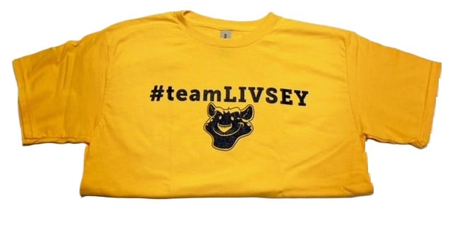 Image of #teamLIVSEY Gold T-Shirt