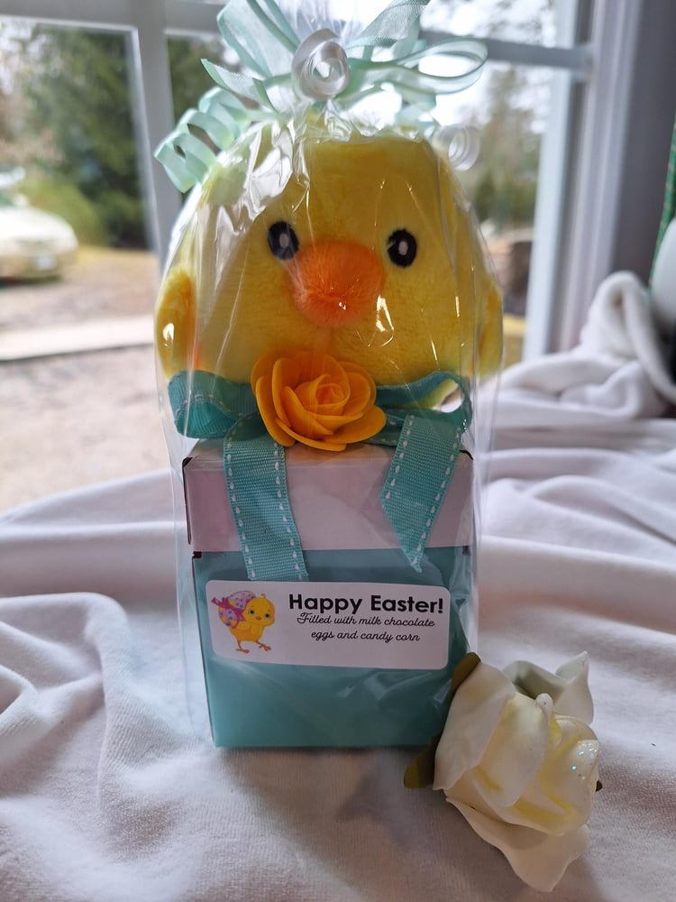 Image of Plush Easter chick on treat filled box