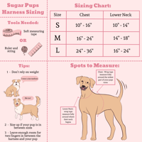 Image 5 of Walking Set