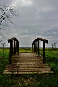 Image 2 of Katy Prairie Bridge