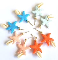 Image 5 of Starfish glacier