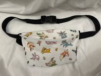 Image 1 of Evolutions Fanny Pack