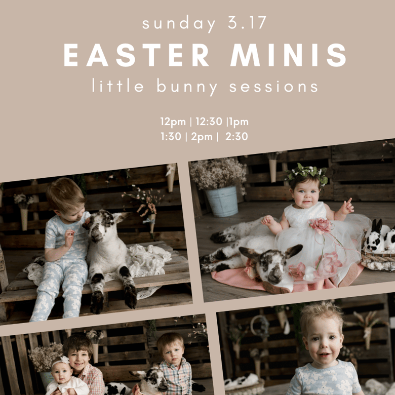 Image of Easter Minis - Little Bunny Sessions