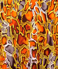 Image 6 of Luxe Python One Shoulder Top| More Colors Available🎨 Surf and Turf 🌊